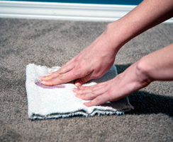 nettoyer un tapis avec une tache de café